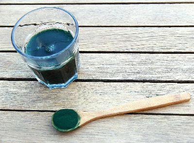Spirulina platensis