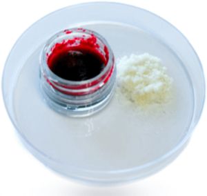  CollagenX kollagén por