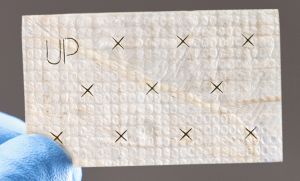 EPIXPRESS® allograft™ Plus