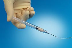 Leneva® Allograft Adipose Matrix Leneva® Allograft Adipose Matrix